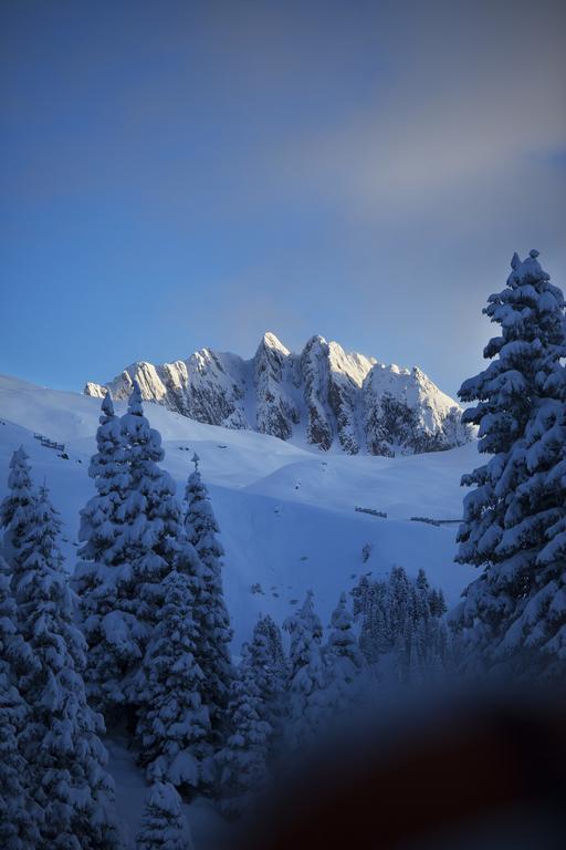 Catrina Lodge Disentis Exterior foto